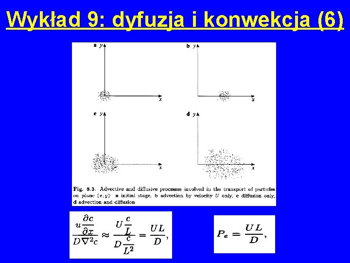 Wykład 9: dyfuzja i konwekcja (6) 