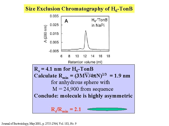 Size Exclusion Chromatography of H 6 -Ton. B Rs = 4. 1 nm for