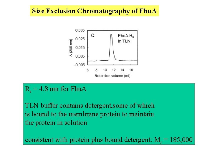 Size Exclusion Chromatography of Fhu. A Rs = 4. 8 nm for Fhu. A