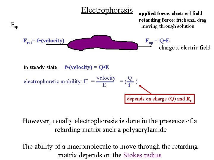 Electrophoresis Fap Fret= f • (velocity) in steady state: applied force: electrical field retarding