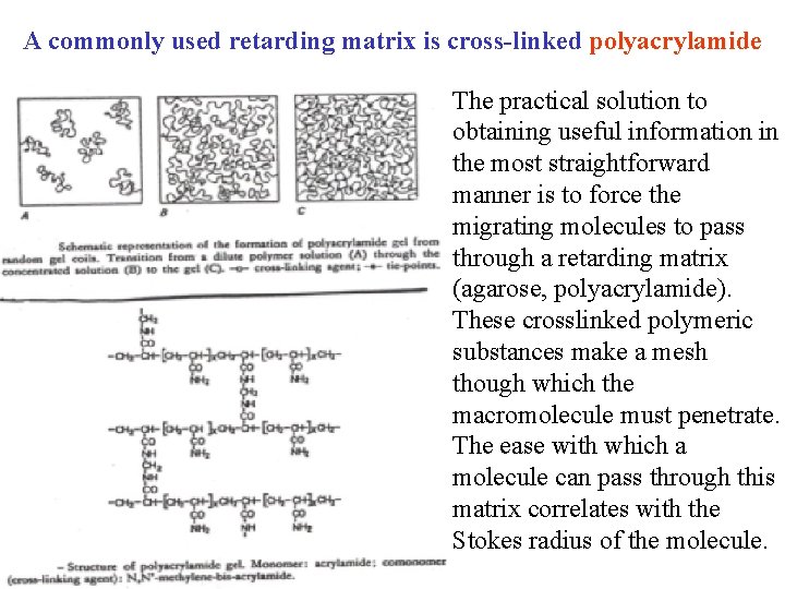 A commonly used retarding matrix is cross-linked polyacrylamide The practical solution to obtaining useful