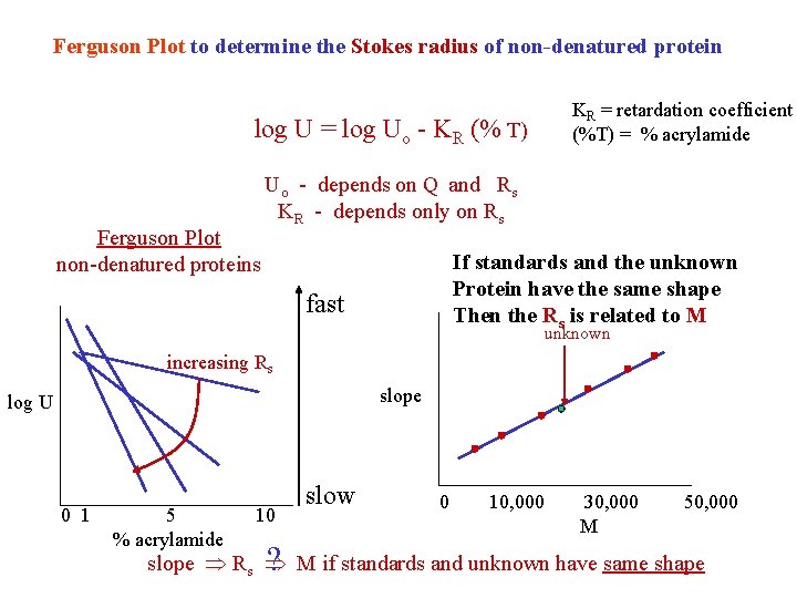 Ferguson Plot to determine the Stokes radius of non-denatured protein log U = log