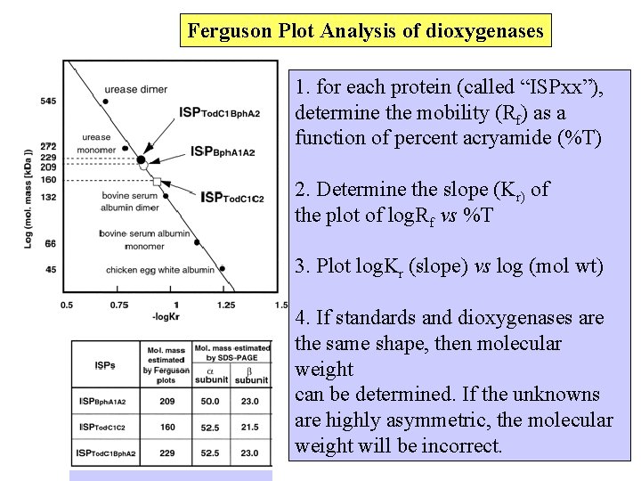 Ferguson Plot Analysis of dioxygenases 1. for each protein (called “ISPxx”), determine the mobility