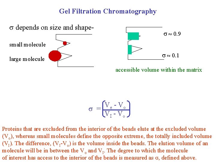 Gel Filtration Chromatography depends on size and shape- 0. 9 small molecule 0. 1