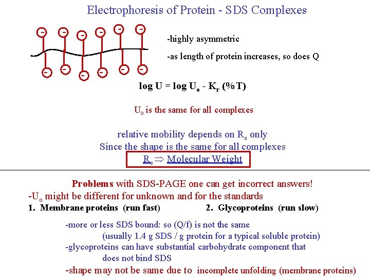 Electrophoresis of Protein - SDS Complexes - - - -highly asymmetric -as length of