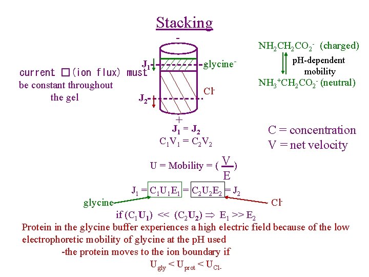 Stacking - NH 2 CO 2 - (charged) NH 3+CH 2 CO 2 -