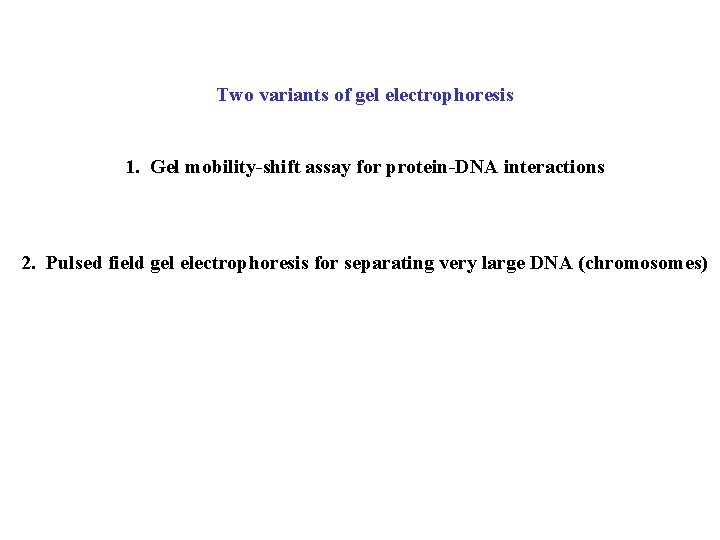 Two variants of gel electrophoresis 1. Gel mobility-shift assay for protein-DNA interactions 2. Pulsed