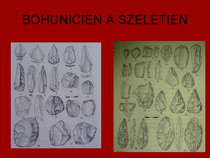 BOHUNICIEN A SZELETIEN 