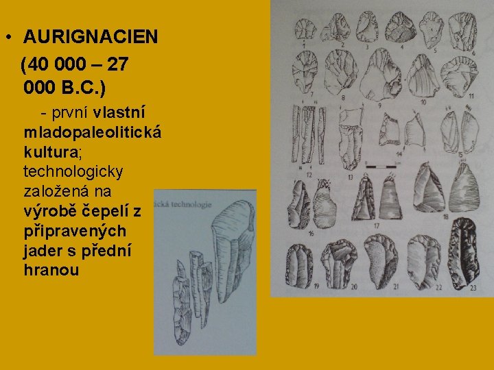  • AURIGNACIEN (40 000 – 27 000 B. C. ) - první vlastní