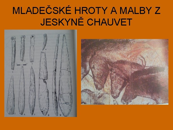 MLADEČSKÉ HROTY A MALBY Z JESKYNĚ CHAUVET 