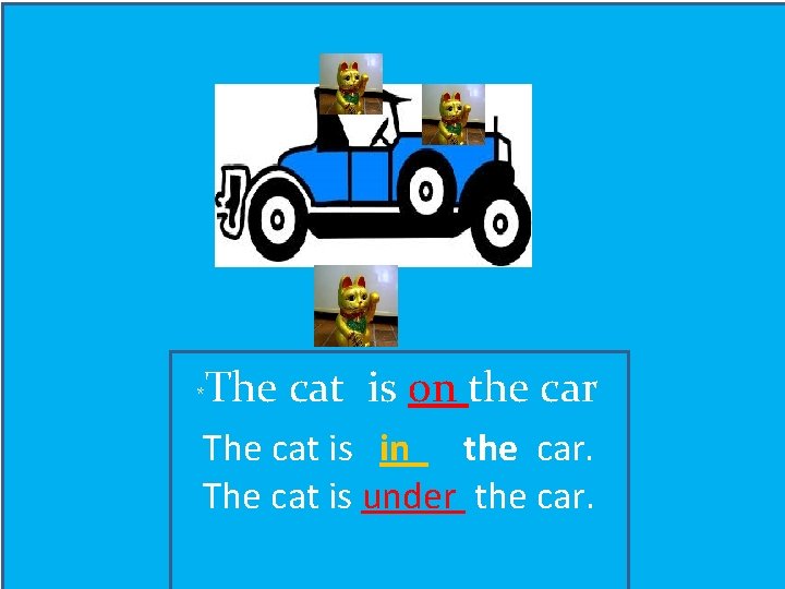 . * The cat is on the car The cat is in the car.