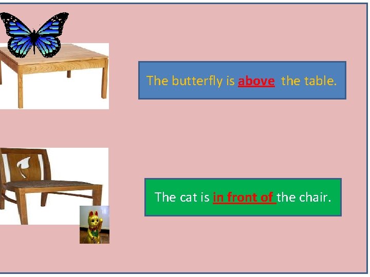 The butterfly is above the table. The cat is in front of the chair.