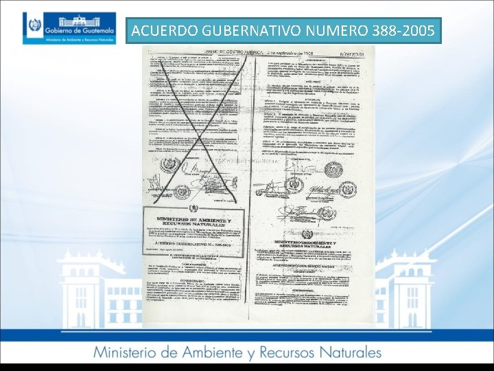 ACUERDO GUBERNATIVO NUMERO 388 -2005 