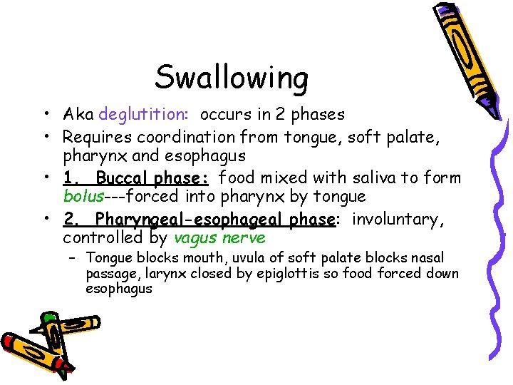 Swallowing • Aka deglutition: occurs in 2 phases • Requires coordination from tongue, soft