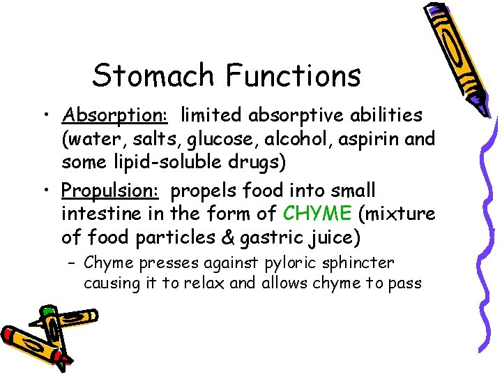 Stomach Functions • Absorption: limited absorptive abilities (water, salts, glucose, alcohol, aspirin and some