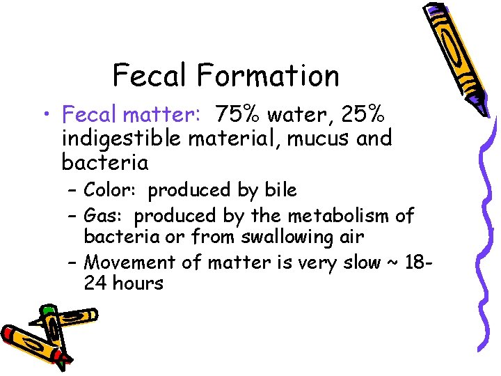 Fecal Formation • Fecal matter: 75% water, 25% indigestible material, mucus and bacteria –