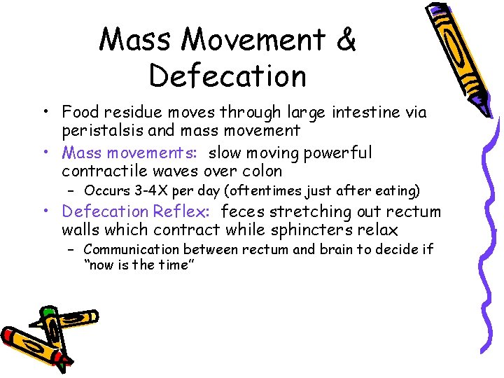 Mass Movement & Defecation • Food residue moves through large intestine via peristalsis and