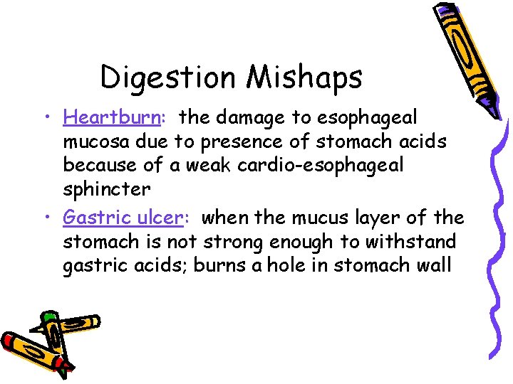 Digestion Mishaps • Heartburn: the damage to esophageal mucosa due to presence of stomach