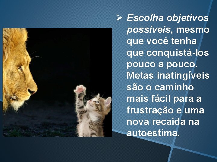 Ø Escolha objetivos possíveis, mesmo que você tenha que conquistá-los pouco a pouco. Metas