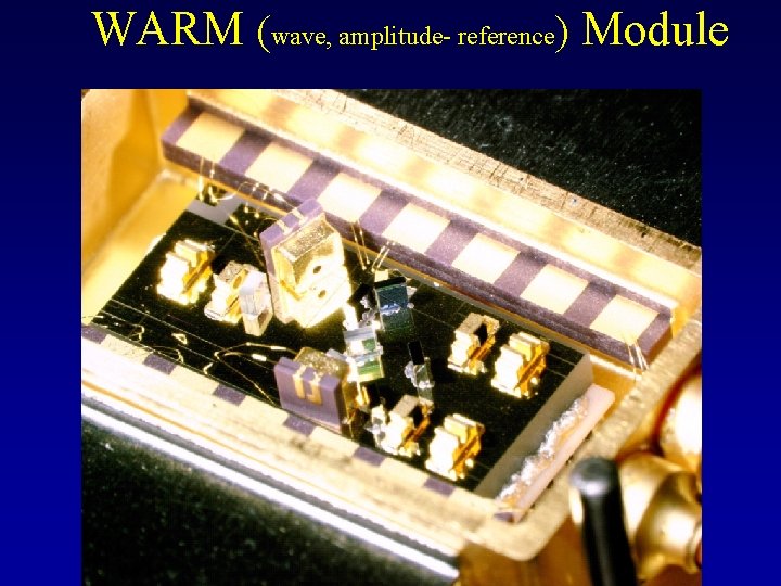WARM (wave, amplitude- reference) Module 