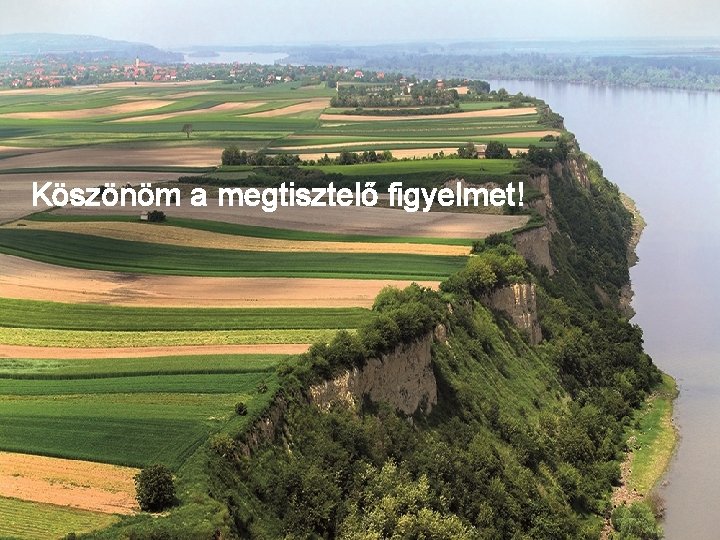 Köszönöm a megtisztelő figyelmet! 