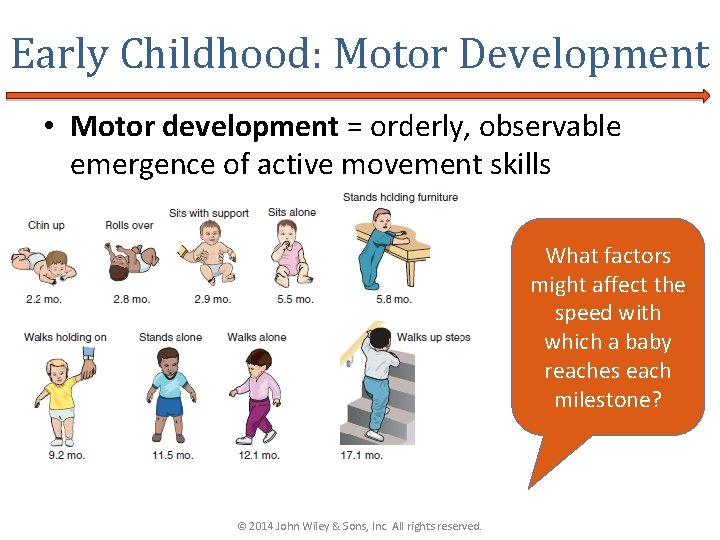 Early Childhood: Motor Development • Motor development = orderly, observable emergence of active movement