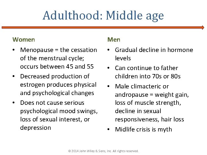 Adulthood: Middle age Women Men • Menopause = the cessation of the menstrual cycle;