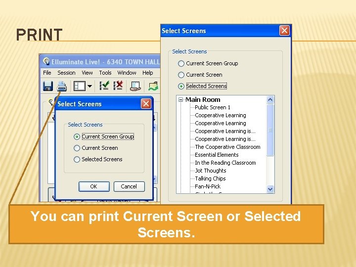 PRINT You can print Current Screen or Selected Screens. 