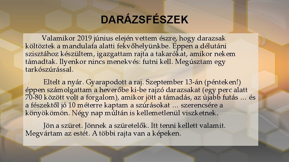 DARÁZSFÉSZEK Valamikor 2019 június elején vettem észre, hogy darazsak költöztek a mandulafa alatti fekvőhelyünkbe.