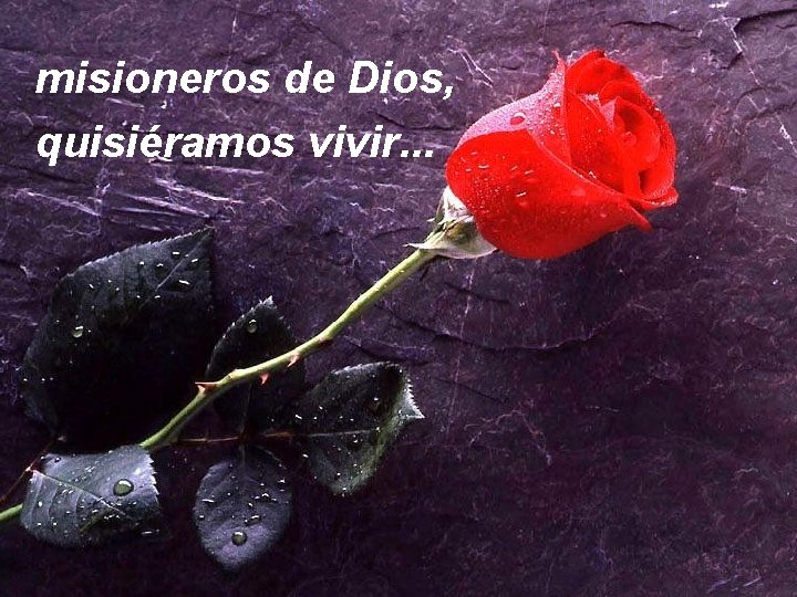 misioneros de Dios, quisiéramos vivir. . . 