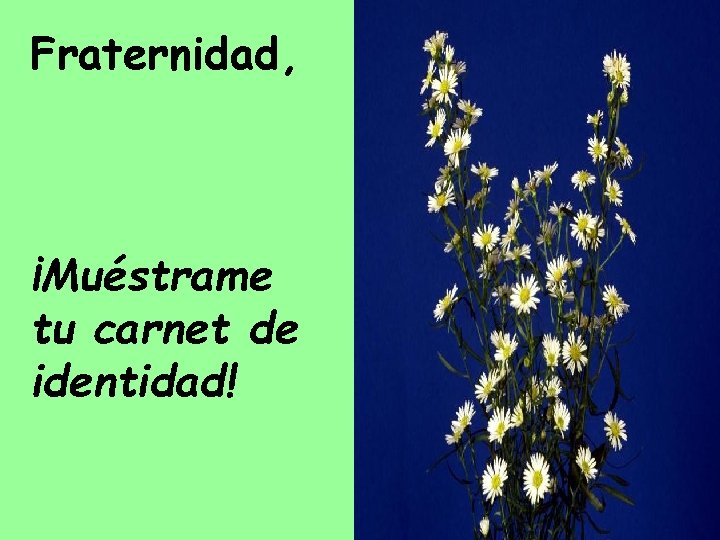 Fraternidad, ¡Muéstrame tu carnet de identidad! 