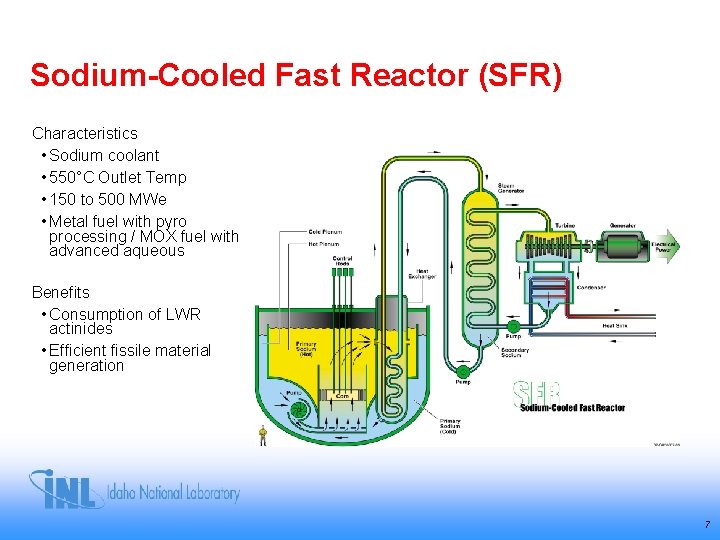Sodium-Cooled Fast Reactor (SFR) Characteristics • Sodium coolant • 550°C Outlet Temp • 150 Sodium-Cooled Fast Reactor (SFR) Characteristics • Sodium coolant • 550°C Outlet Temp • 150