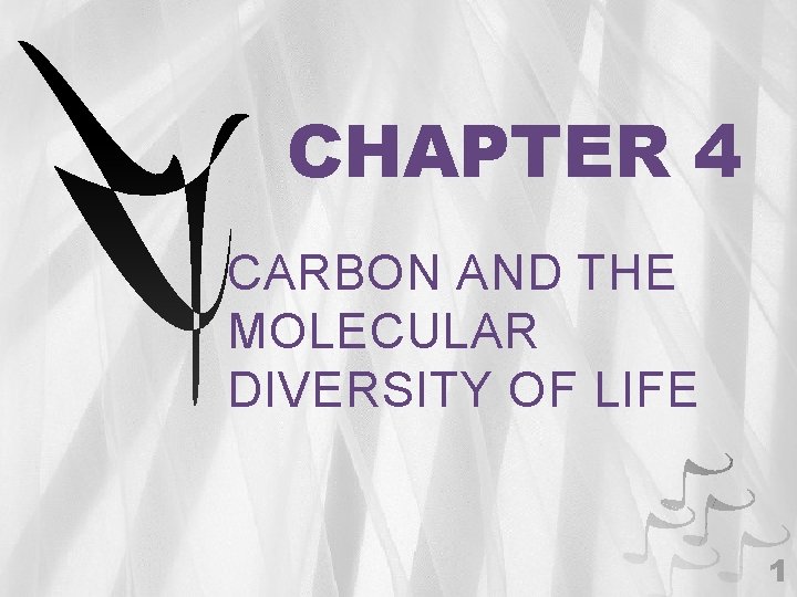 CHAPTER 4 CARBON AND THE MOLECULAR DIVERSITY OF LIFE 1 