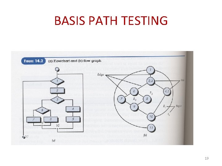 BASIS PATH TESTING 19 