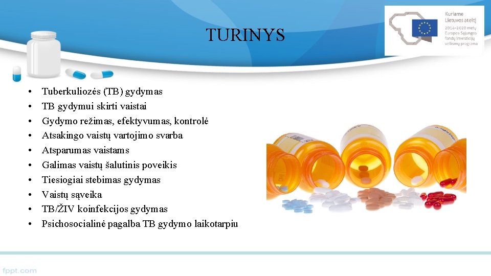 TURINYS • • • Tuberkuliozės (TB) gydymas TB gydymui skirti vaistai Gydymo režimas, efektyvumas,