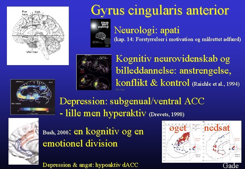 Gyrus cingularis anterior Neurologi: apati (kap. 14: Forstyrrelser i motivation og målrettet adfærd) Kognitiv