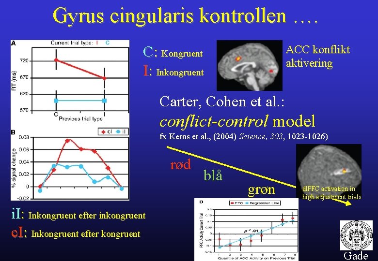 Gyrus cingularis kontrollen …. ACC konflikt aktivering C: Kongruent I: Inkongruent Carter, Cohen et