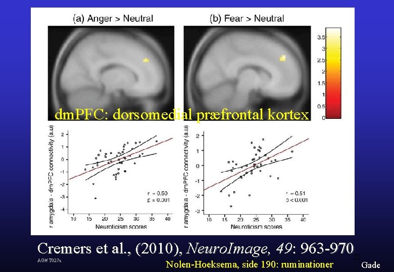 dm. PFC: dorsomedial præfrontal kortex Cremers et al. , (2010), Neuro. Image, 49: 963