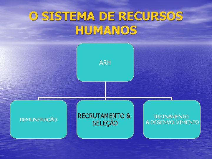 O SISTEMA DE RECURSOS HUMANOS ARH REMUNERAÇÃO RECRUTAMENTO & SELEÇÃO TREINAMENTO & DESENVOLVIMENTO 