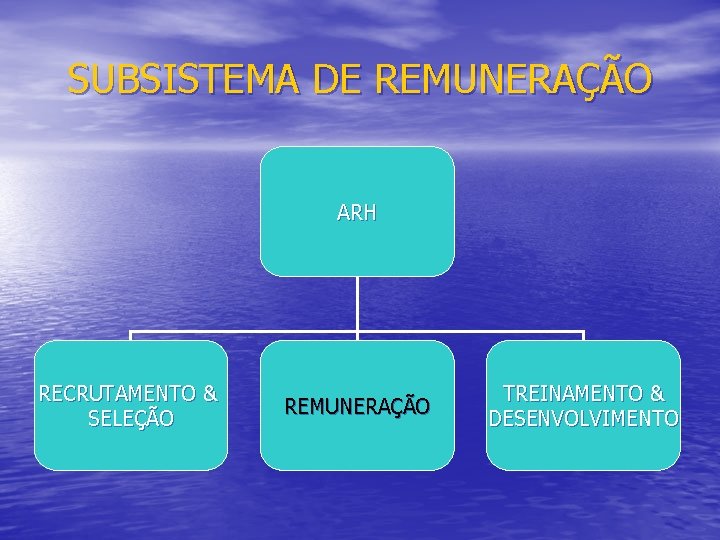 SUBSISTEMA DE REMUNERAÇÃO ARH RECRUTAMENTO & SELEÇÃO REMUNERAÇÃO TREINAMENTO & DESENVOLVIMENTO 