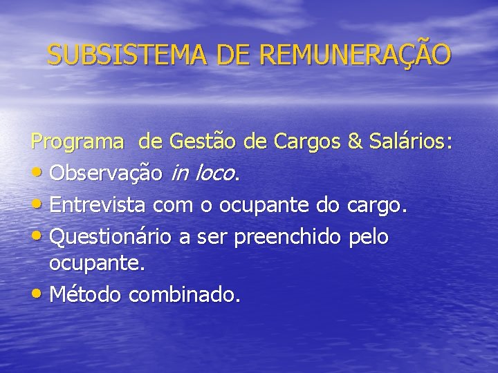 SUBSISTEMA DE REMUNERAÇÃO Programa de Gestão de Cargos & Salários: • Observação in loco.
