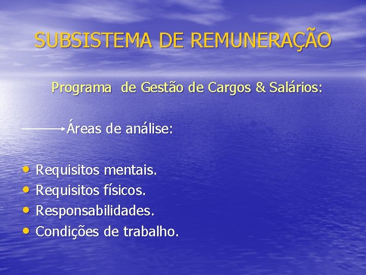 SUBSISTEMA DE REMUNERAÇÃO Programa de Gestão de Cargos & Salários: Áreas de análise: •