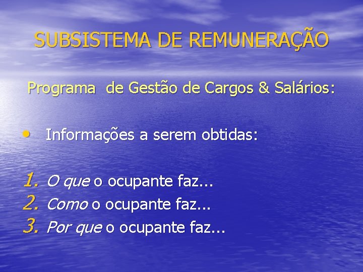 SUBSISTEMA DE REMUNERAÇÃO Programa de Gestão de Cargos & Salários: • Informações a serem