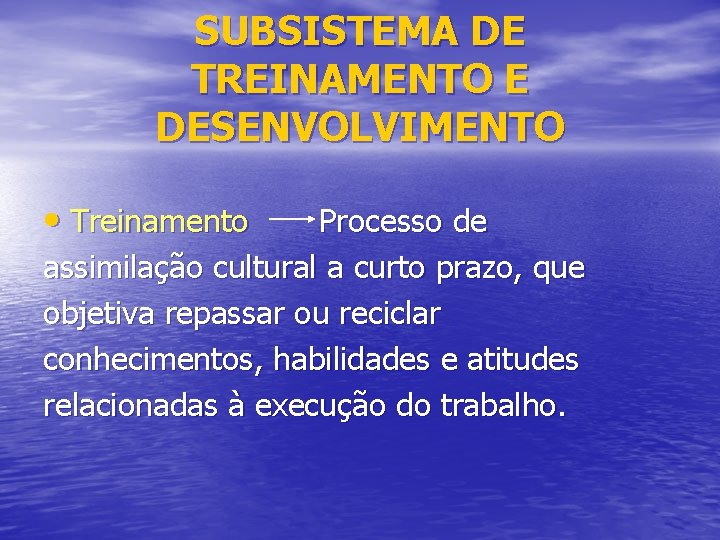 SUBSISTEMA DE TREINAMENTO E DESENVOLVIMENTO • Treinamento Processo de assimilação cultural a curto prazo,