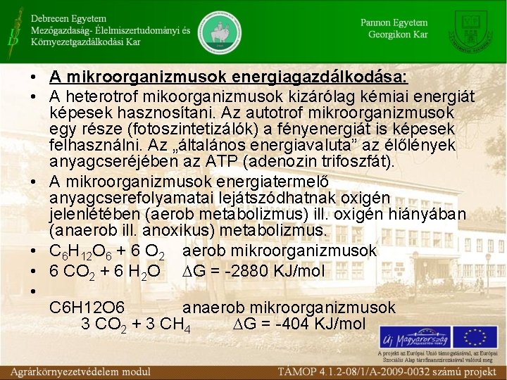  • A mikroorganizmusok energiagazdálkodása: • A heterotrof mikoorganizmusok kizárólag kémiai energiát képesek hasznosítani.