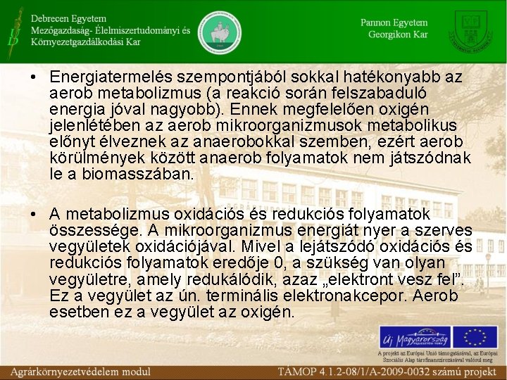  • Energiatermelés szempontjából sokkal hatékonyabb az aerob metabolizmus (a reakció során felszabaduló energia