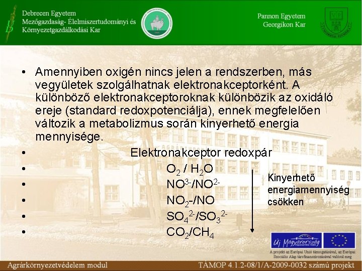  • Amennyiben oxigén nincs jelen a rendszerben, más vegyületek szolgálhatnak elektronakceptorként. A különböző