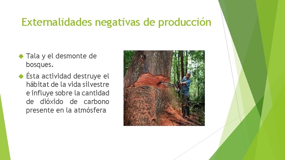 Externalidades negativas de producción Tala y el desmonte de bosques. Ésta actividad destruye el