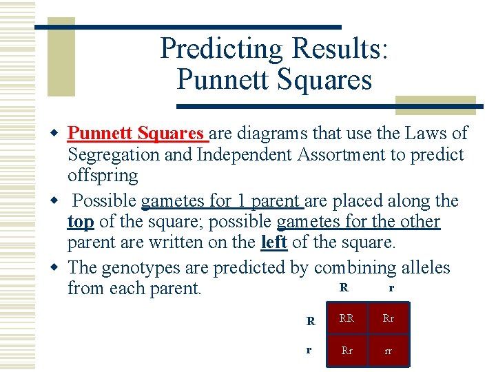 Predicting Results: Punnett Squares w Punnett Squares are diagrams that use the Laws of