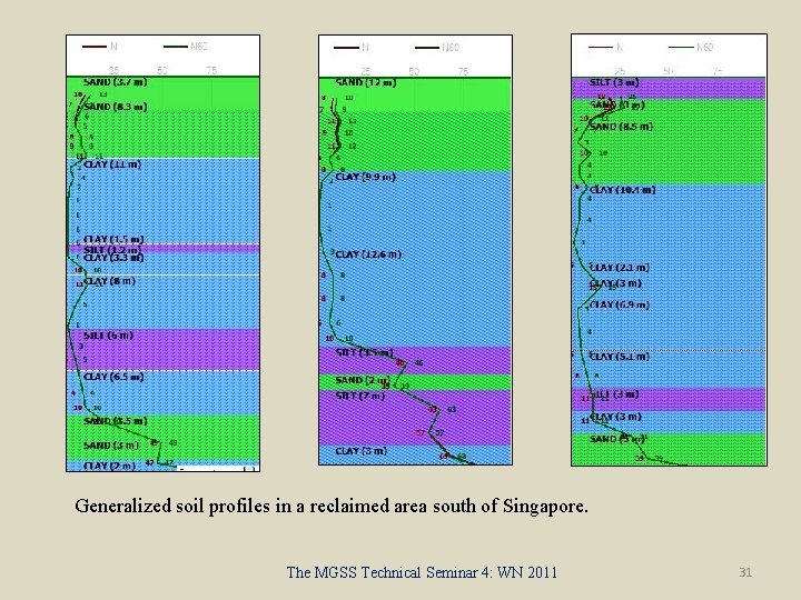 Generalized soil profiles in a reclaimed area south of Singapore. The MGSS Technical Seminar